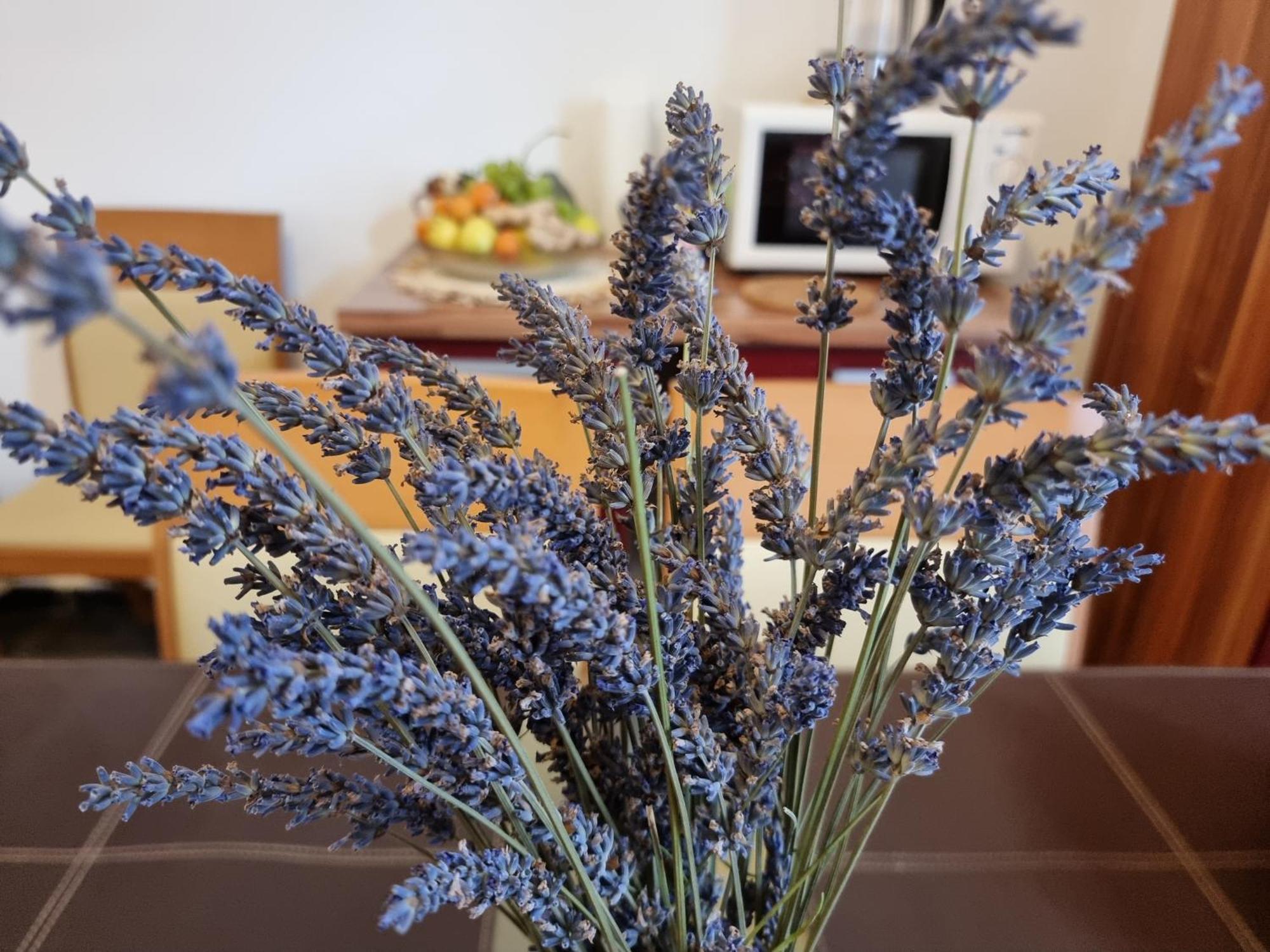 ***Apartment Magic &Summervibes*** Rijeka Dış mekan fotoğraf